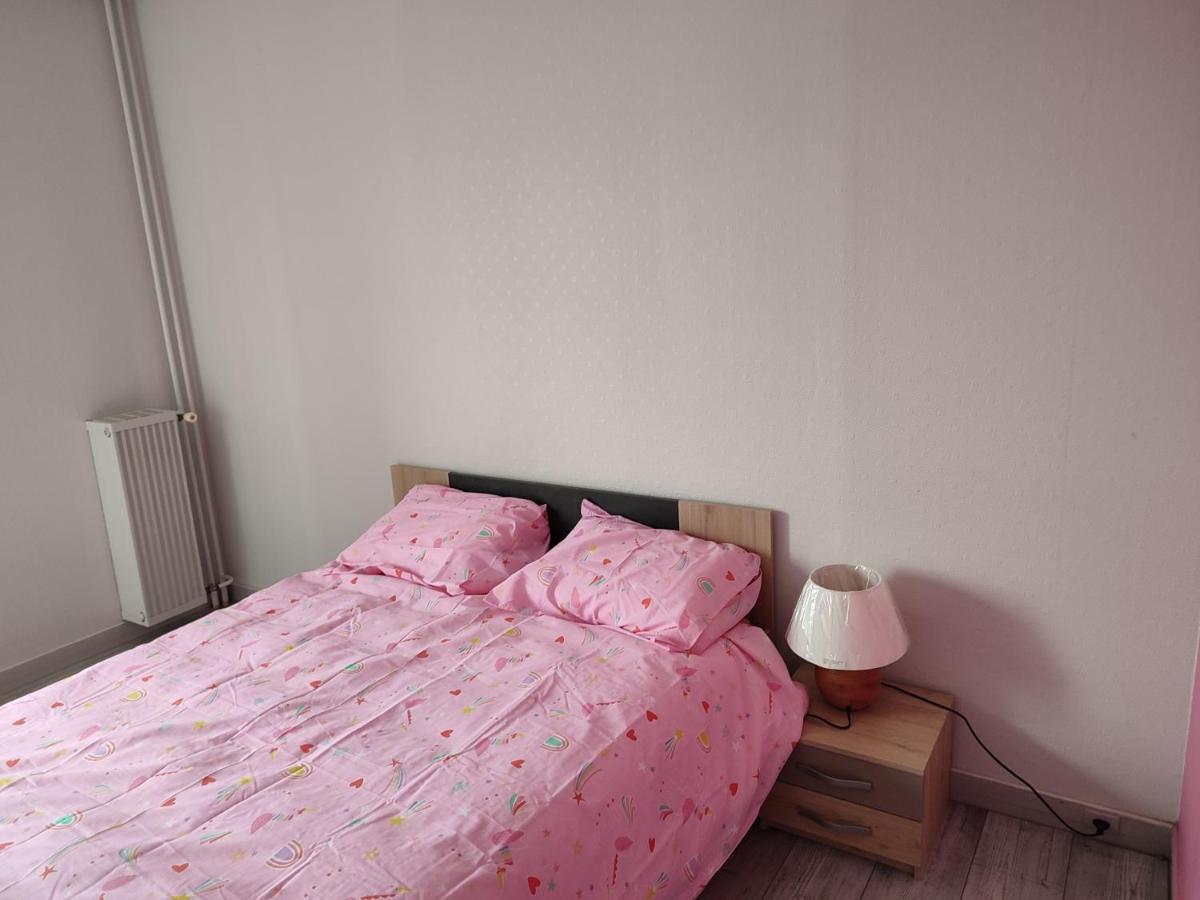 Grand Et Superbe Appartement Proche Paris Creil Exteriér fotografie